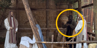 Viral o καταζητούμενος που κρύφτηκε σε φάτνη για να μη συλληφθεί