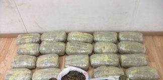 Συνελήφθη 28χρονος με ευρωπαϊκό ένταλμα στο Αιγάλεω – Μετέφερε 17 κιλά κάνναβη στο Ταλίν