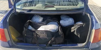 Καστοριά: Μετέφεραν σε σάκους πάνω από 28 κιλά κάνναβη – Τρεις συλλήψεις – (VIDEO)