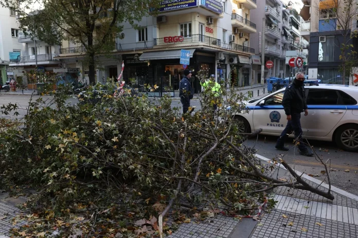Κεντρική Μακεδονία: 710 κλήσεις στην Πυροσβεστική λόγω θυελλωδών ανέμων – Εκατοντάδες πτώσεις δέντρων στη Θεσσαλονίκη