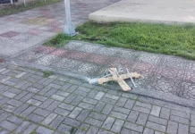 Έκλεψαν χριστουγεννιάτικα δέντρα από κεντρικά σημεία της Εύβοιας