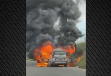 Λαμία: Αυτοκίνητο τυλίχτηκε στις φλόγες εν κινήσει στη Λαμία, γλίτωσε ο οδηγός- (VIDEO-ΦΩΤΟ)