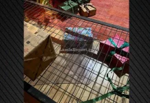 Θρασύτατοι διαρρήκτες στη Λαμία δεν δίστασαν να «ανοίξουν» το σπίτι του Άγιου Βασίλη-(ΦΩΤΟ)