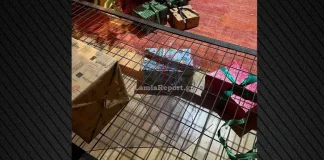 Θρασύτατοι διαρρήκτες στη Λαμία δεν δίστασαν να «ανοίξουν» το σπίτι του Άγιου Βασίλη-(ΦΩΤΟ)