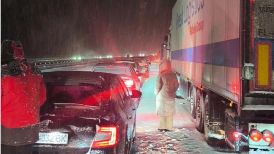 mixcollage-31-dec-2025-12-47-am-7822