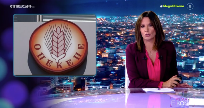 H Νίκη Λυμπεράκη ξεφτιλίζει την κυβέρνηση σε 7 λεπτά – (VIDEO)