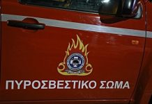 Ζημιές από φωτιά σε αυτοκίνητα σε Κιλκίς και Χαλκιδική