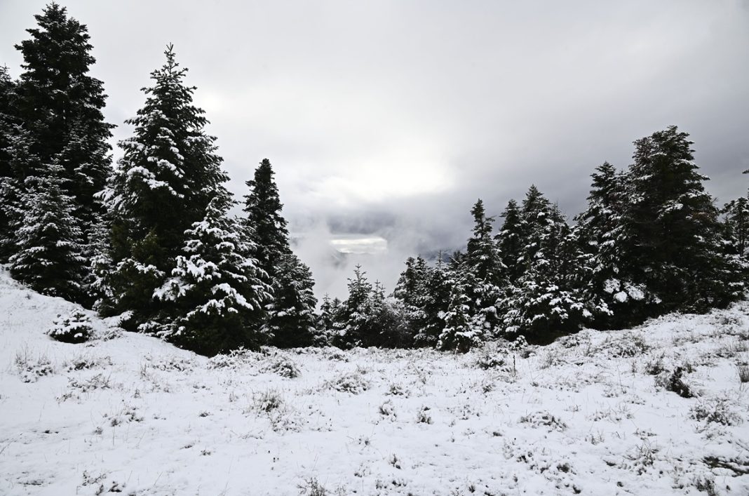 ÏÄÏÉÐÏÑÉÊÏ ÓÔÇÍ ÅÕÑÕÔÁÍÉÁ