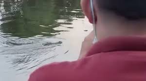 αρχείο λήψης (1)