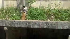 Τραγικός θάνατος για 19χρονο στη Βραζιλία: Μπήκε σε κλουβί ζωολογικού κήπου με λιοντάρια και τον κατασπάραξαν