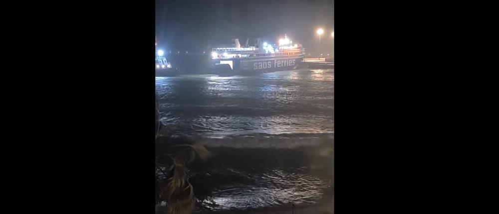 1000_194fe99c-f62b-49b8-a965-5983c4d1b17f