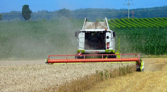 Μαγνησία: Πώς ένα αλώνισμα ξετύλιξε υπόθεση πλαστογραφίας με περιουσία 51χρονης που πέθανε το 2020