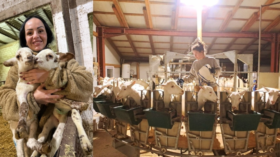 2ad2f7421886e20ce7dc91bd2a2a2664_L