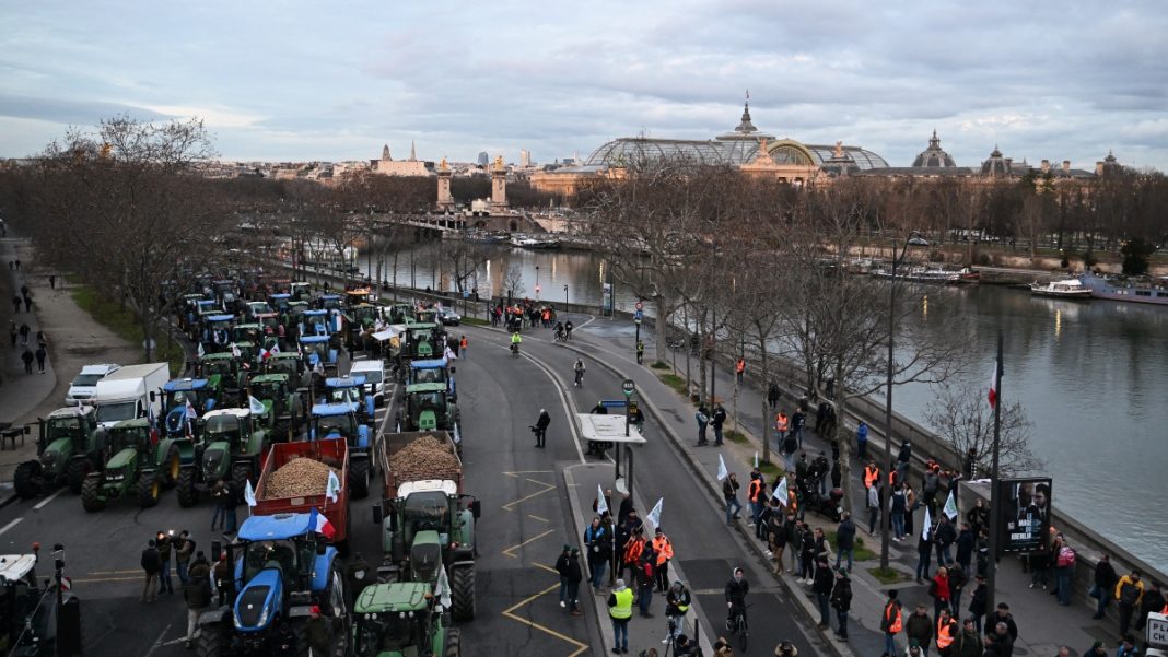 AGROTES_PARISI_GALLIA