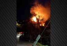 Στις φλόγες τυλίχτηκε κατοικία στην Αράχωβα – (VIDEO)