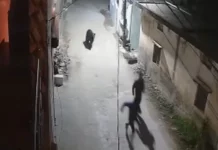 Δείτε βίντεο: Άγρια αρκούδα παίρνει στο κυνήγι δύο άνδρες σε επαρχία της Ινδίας