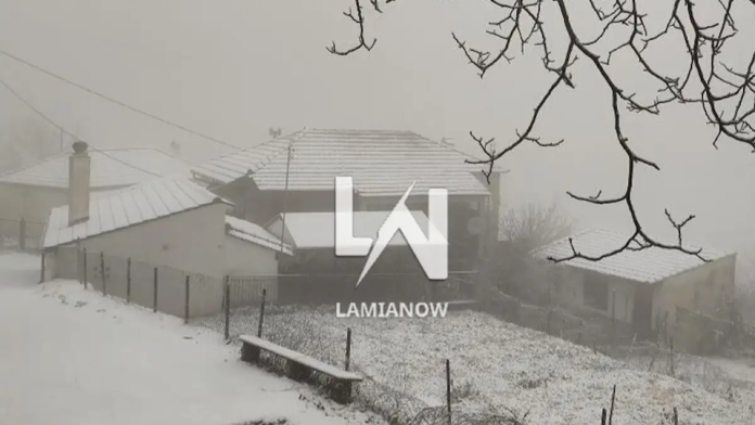 Πυκνό χιόνι «έντυσε στα λευκά» τα ορεινά σε Φθιώτιδα, Τρίκαλα και Στερεά Ελλάδα (VIDEO)