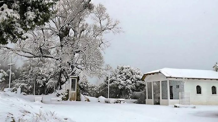 Ιωάννινα: Σφοδρή χιονόπτωση μέσα στη πόλη