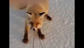 αρχείο λήψης (3)