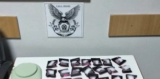 Συνελήφθη ένα άτομο στην Πέλλα για διακίνηση και κατοχή ναρκωτικών