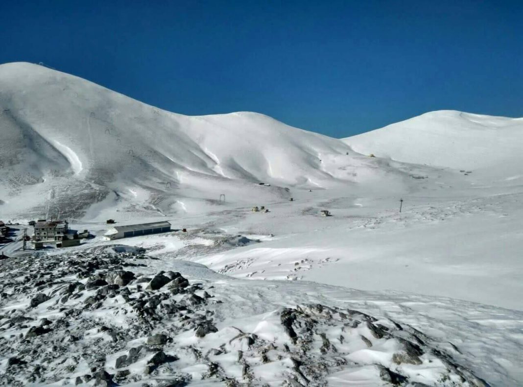 464106213_8486692261383718_7743228676119632219_n