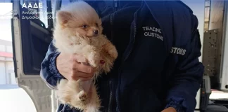 Ναρκωτικά, λαθραία τσιγάρα, αδήλωτο συνάλλαγμα σε μετρητά και… ρούβλια εντόπισε η ΑΑΔΕ: Σαρωτικοί έλεγχοι με X-Ray και τον Έλβις