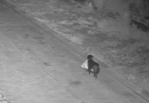 Ιταλός εκπαίδευσε… τον σκύλο του να πετάει τα σκουπίδια στον δρόμο