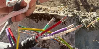 Οι έρευνες της ΕΛΑΣ για τη δολιοφθορά στα καλώδια τηλεδιοίκησης του ΟΣΕ – Τα πρώτα στοιχεία και τα ερωτήματα