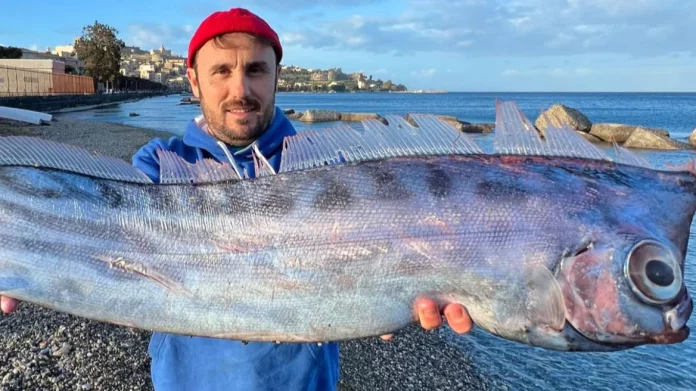 Σπάνιο ψάρι ξεβράστηκε σε παραλία της Σικελίας, δείτε φωτογραφίες
