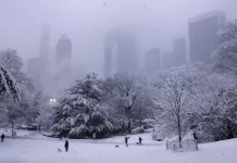 Τουλάχιστον 13 νεκροί από υποθερμία στη Νέα Υόρκη εν μέσω σφοδρού κύματος ψύχους