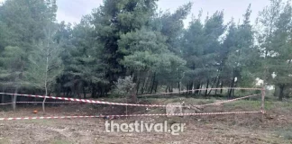Χωρίς κεφάλι η σορός που βρέθηκε στη Χαλκιδική – “Είδα το χέρι μέσα στη σακούλα, φορούσε δαχτυλίδι” λέει ο πρόεδρος του Πευκοχωρίου