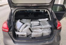 Θεσπρωτία: Συνελήφθη να μεταφέρει πάνω από 60 κιλά κάνναβης με ενοικιαζόμενο ΙΧ