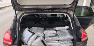 Θεσπρωτία: Συνελήφθη να μεταφέρει πάνω από 60 κιλά κάνναβης με ενοικιαζόμενο ΙΧ
