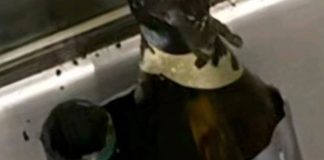 Κρήτη: Τοποθέτησαν αυτοσχέδιο εμπρηστικό μηχανισμό σε καφετέρια στο Ηράκλειο