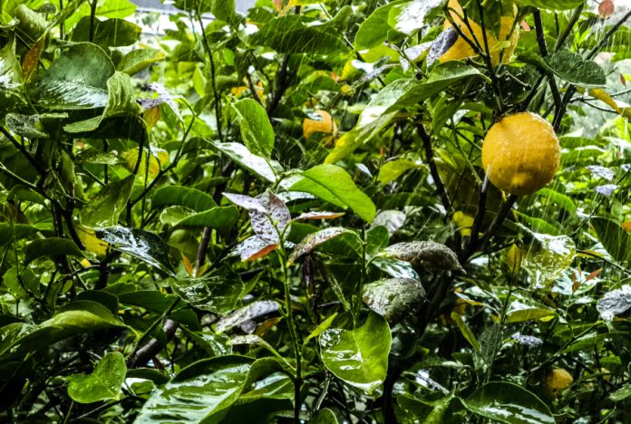 «Κλείδωσε» κακοκαιρία με καταιγίδες σε όλη τη χώρα – Τι λέει η ΕΜΥ Newsroom