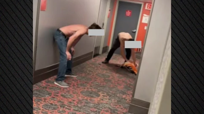 Καναδός τουρίστας κατηγορείται ότι βασάνισε φλαμίνγκο σε ξενοδοχείο στις ΗΠΑ