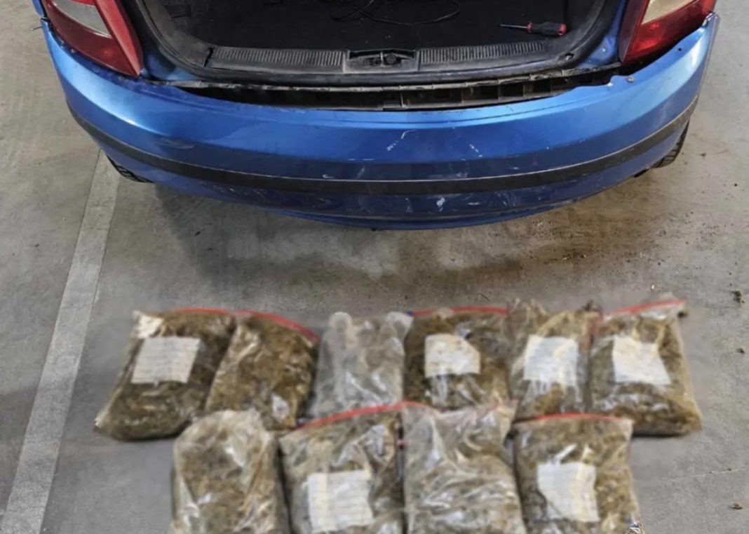 kannavi-profylaktiras1