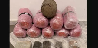 Συνελήφθη 39χρονο αλλοδαπός για κατοχή και διακίνηση ναρκωτικών: Τα εντόπισε ο αστυνομικός σκύλος «Vektor»