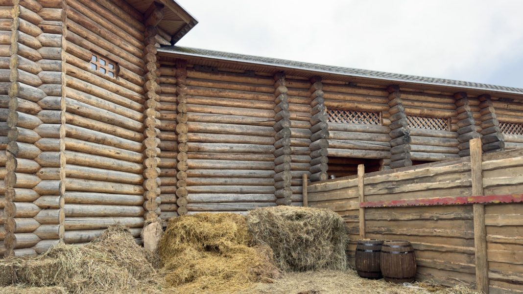 stavlos_shutterstock