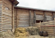 Σοκ στη Λαμία: 45χρονος κρεμάστηκε σε στάβλο, τον βρήκε η γυναίκα του