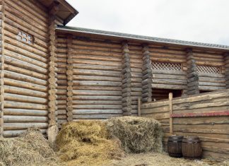 Σοκ στη Λαμία: 45χρονος κρεμάστηκε σε στάβλο, τον βρήκε η γυναίκα του