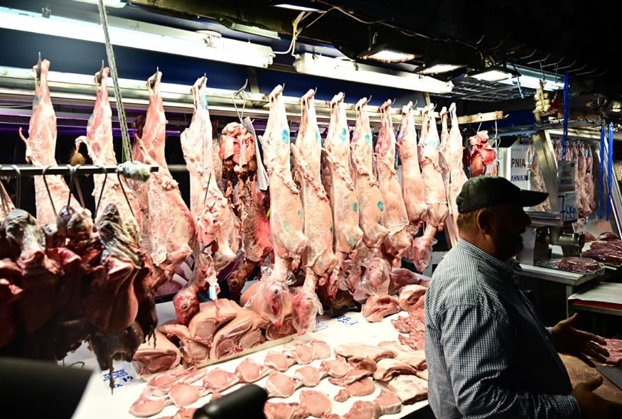 875_02feceee-bccf-4b52-a2dd-f1d721107a96