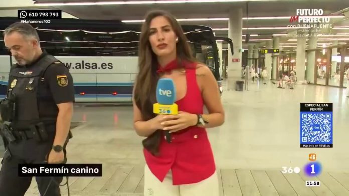 Αστυνομικός σκύλος «τσάκωσε» γυναίκα που κουβαλούσε ναρκωτικά ενώ έκανε επίδειξη στην τηλεόραση