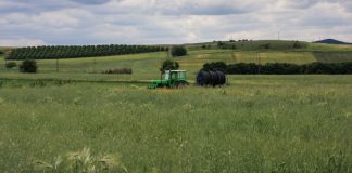 Ηράκλειο: Πάτησε με το αυτοκίνητο συγγενή του για κτηνοτροφικές διαφορές