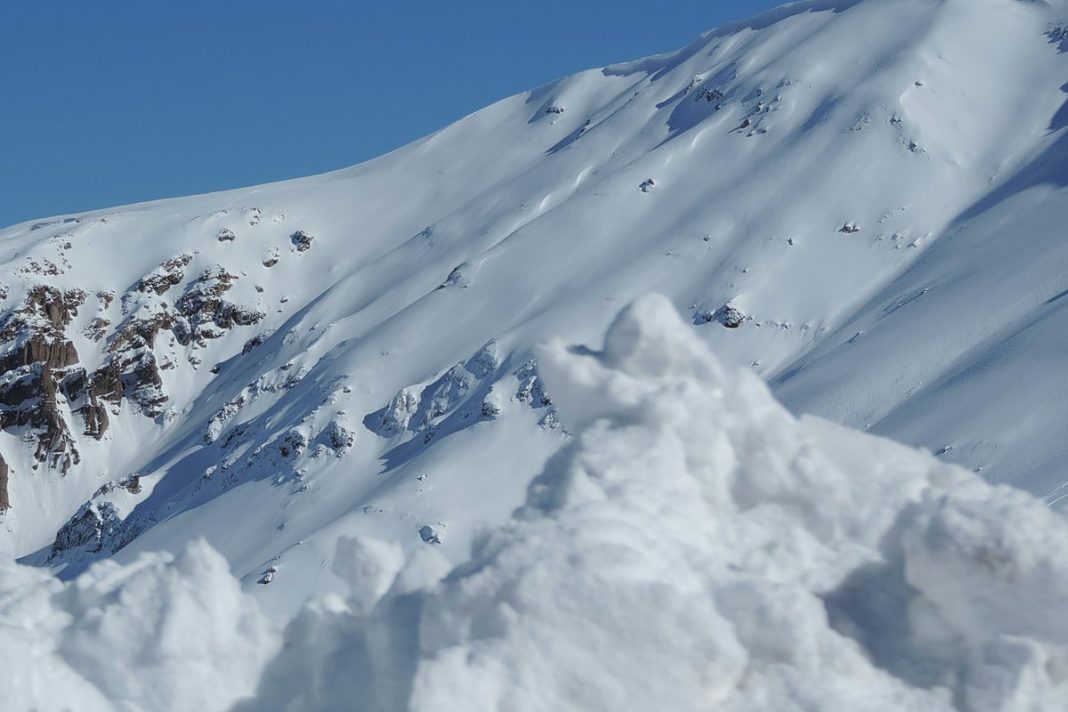 crop-1200w-2026-04-06t10-56-02-685z