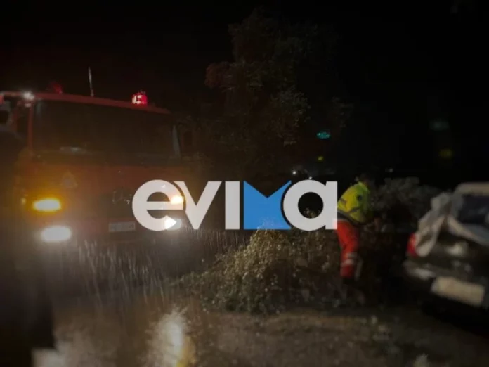 Εύβοια – κακοκαιρία «Erminio»: Δέντρο καταπλάκωσε αυτοκίνητο – Δείτε φωτογραφίες