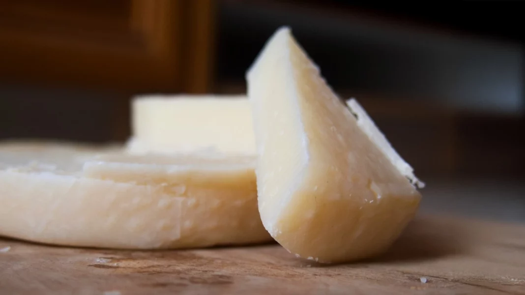 maketa-ladotyri-mytilinis