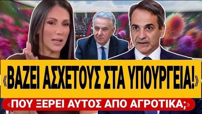H Βούλγαρη εκθέτει άσχημα τον Μητσοτάκη: «Βάζουν άσχετους ανθρώπους σε άσχετα υπουργεία» – (VIDEO)