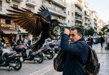 Θεσσαλονίκη: Τρεις τραυματίες μετά από επίθεση από κοράκι!