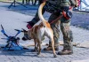 Μη επανδρωμένο αεροσκάφος συνετρίβη σε πόλη της Λιθουανίας